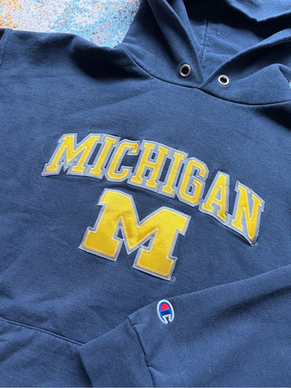 Michigan State Champion Hoodie
